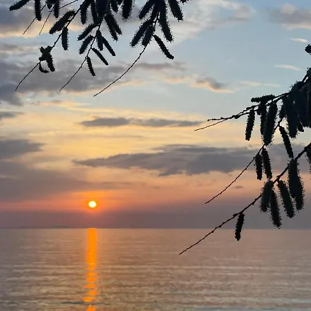 Διαμέρισμα Biba Petrcane