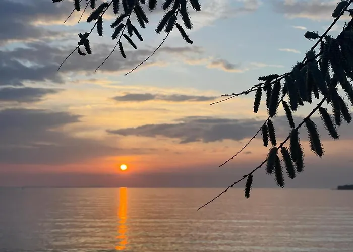 Διαμέρισμα Biba Petrcane