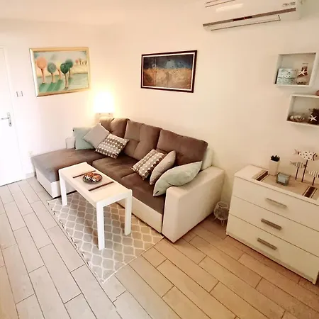 Biba Petrcane